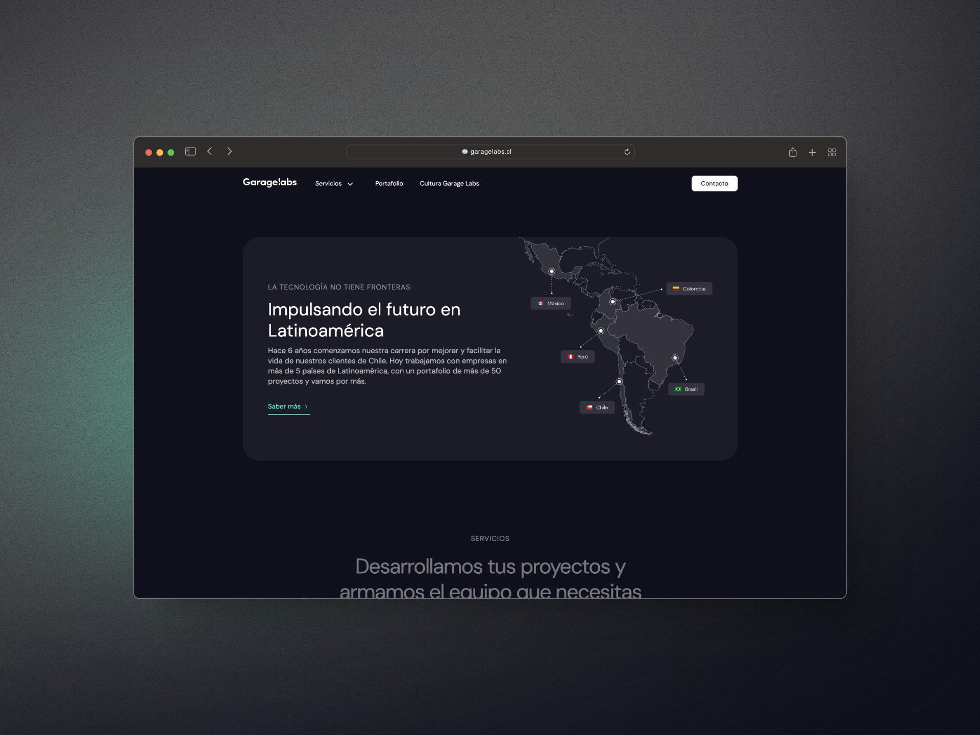 Imagen del proyecto